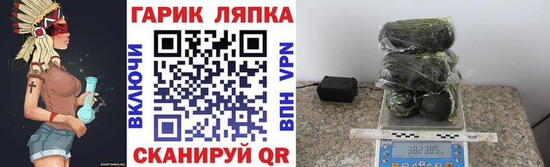 Гашиш AMNESIA HAZE  darknet телеграм  Ставрополь 