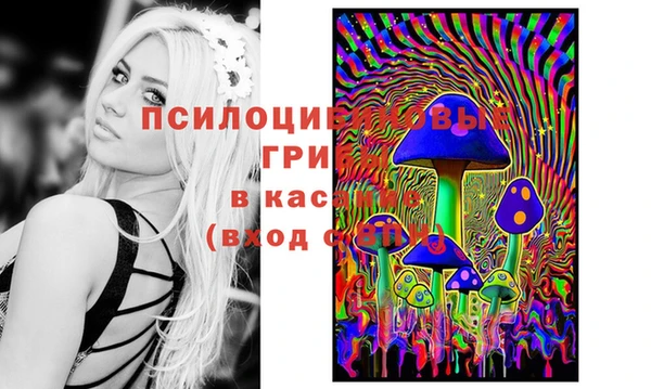 гидропоника Дмитровск