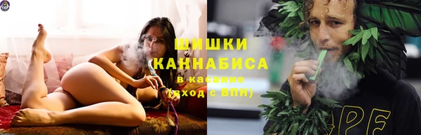 гидропоника Дмитровск
