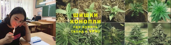 трава Дмитров